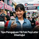 Tips Pengajuan TikTok PayLater Disetujui