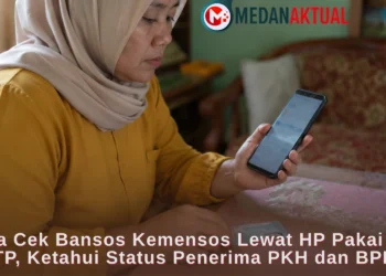 Cara Cek Bansos Kemensos Lewat HP Pakai NIK KTP, Ketahui Status Penerima PKH dan BPNT