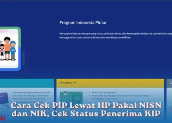 Cara Cek PIP Lewat HP Pakai NISN dan NIK, Cek Status Penerima KIP
