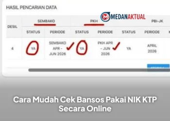 Cara Mudah Cek Bansos Pakai NIK KTP Secara Online