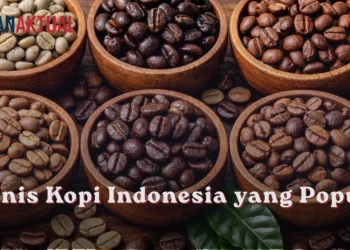 10 Jenis Kopi Indonesia yang Populer, Kenali Karakter Rasa Setiap Origin