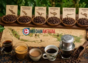 Jenis Kopi Indonesia Berdasarkan Karakter Rasanya, Panduan Memilih yang Sesuai Selera