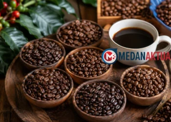 Bingung Memilih Kopi Arabika? Kenali Karakter Rasa 8 Origin Terbaik di Indonesia