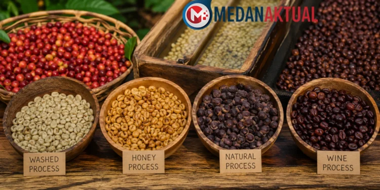 Perbedaan Natural, Washed, Honey, dan Wine Process pada Kopi, Kenali Karakter Rasanya Sebelum Membeli